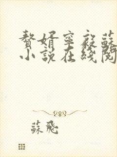 赘婿宁毅苏檀儿小说在线阅读免费