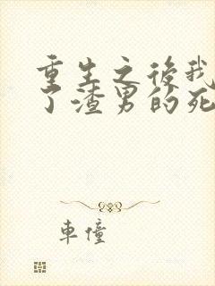 重生之后我嫁给了渣男的死对头短剧