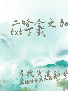 二哈全文加番外txt下载