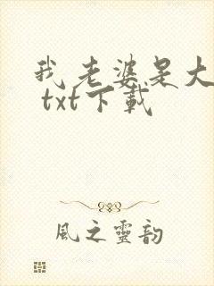 我老婆是大明星 txt下载