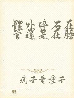 体外碎石在输尿管还是在膀胱里好