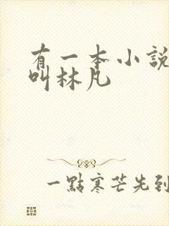 有一本小说主角叫林凡