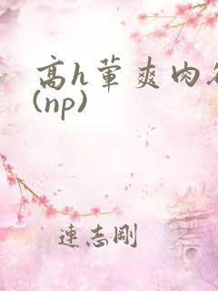 高h荤爽肉欲文(np)