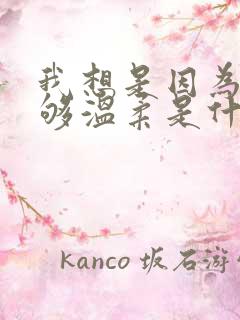 我想是因为我不够温柔是什么歌