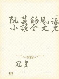 阮芸的风流人生小说全文免费阅读