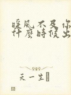 暖风不及你情深什么时候出的