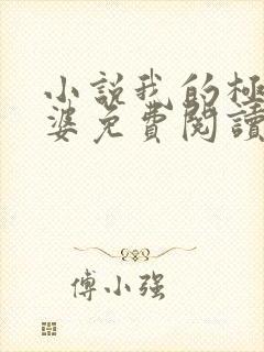 小说我的极品老婆免费阅读全文