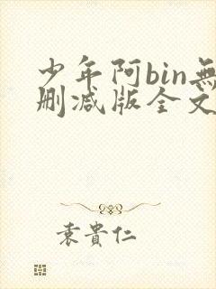 少年阿bin无删减版全文阅读