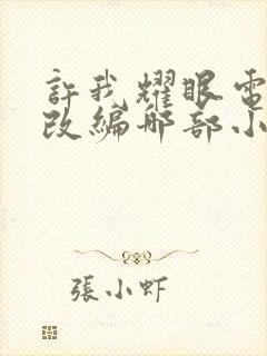 许我耀眼电视剧改编哪部小说