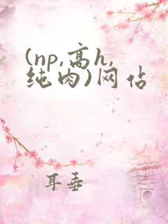 (np,高h,纯肉)网站