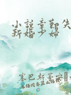 小说章节失身的新婚少妇