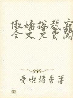 傲娇总裁宠上瘾全文免费阅读全文