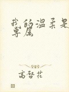 我的温柔是你的专属