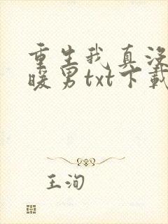 重生我真没想当暖男txt下载