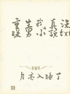 重生我真没想当暖男小说txt