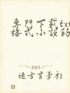 专门下载txt格式小说的软件