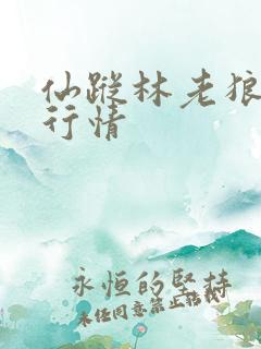 仙踪林老狼大豆行情