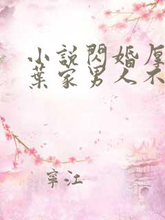 小说闪婚厚爱:叶家男人不离婚免费看