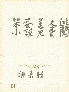 笨蛋美人逃婚后小说免费阅读