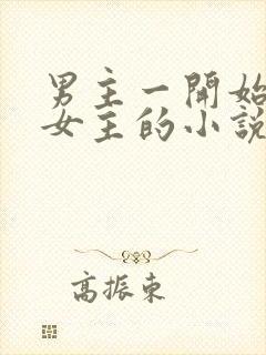 男主一开始厌恶女主的小说