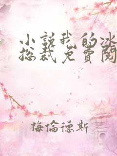 小说我的冰山女总裁免费阅读