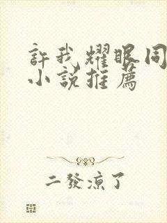 许我耀眼同人文小说推荐