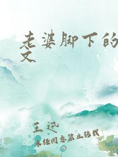 老婆脚下的绿奴文