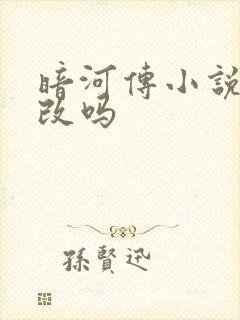 暗河传小说是耽改吗