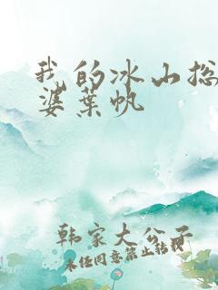 我的冰山总裁老婆叶帆