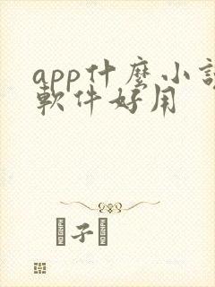 app什么小说软件好用