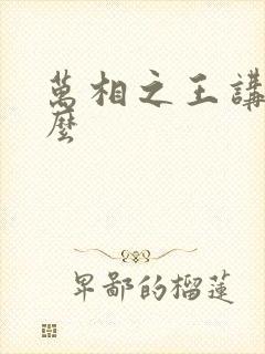 万相之王讲的什么