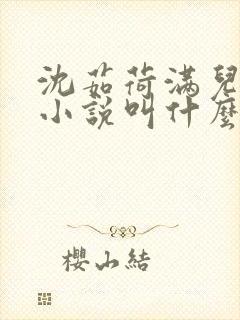 沈茹荷满儿原著小说叫什么名字