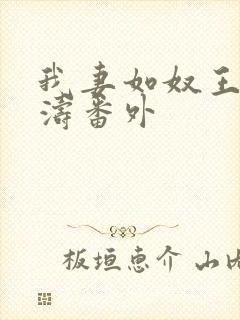 我妻如奴王琳和涛番外