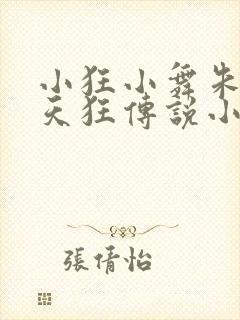 小狂小舞朱竹清天狂传说小说