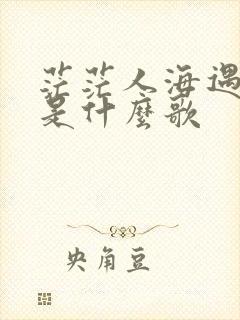 茫茫人海遇见你是什么歌