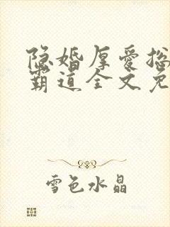 隐婚厚爱总裁超霸道全文免费阅读