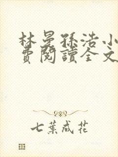 林曼孙浩小说免费阅读全文最新章节