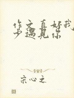 作文真好我在年少遇见你