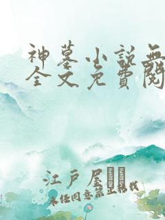 神墓小说无弹窗全文免费阅读