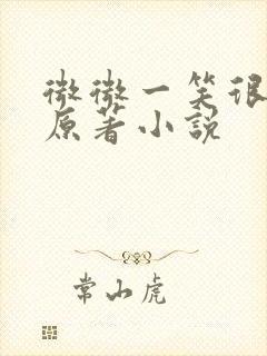 微微一笑很倾城原著小说