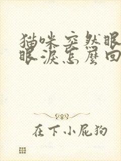 猫咪突然眼睛流眼泪怎么回事