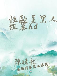 性欧美黑人4p粗暴hd