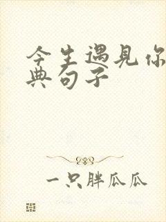 今生遇见你的经典句子