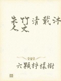 朱竹清戴沐白同人文