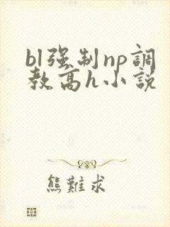 bl强制np调教高h小说