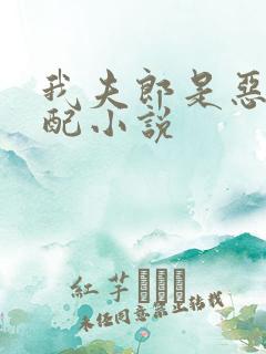 我夫郎是恶毒男配小说