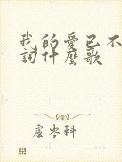我的爱已不在歌词什么歌
