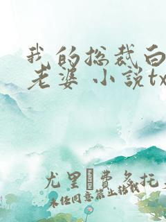 我的总裁白富美老婆 小说txt下载