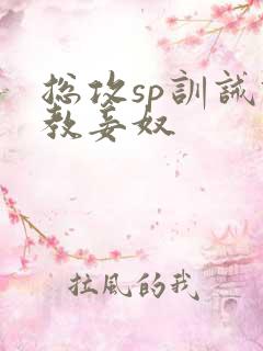 总攻sp训诫调教妾奴