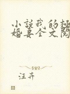 小说我的极品未婚妻全文阅读